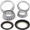 Steering Stem Bearing Kit