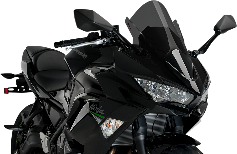 Race Windscreen - 19" - Dark Smoke - Kawasaki - Lutzka's Garage