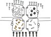 Carburetor Repair Kit - Suzuki