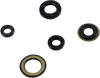 Engine Oil Seal Kit - Yamaha