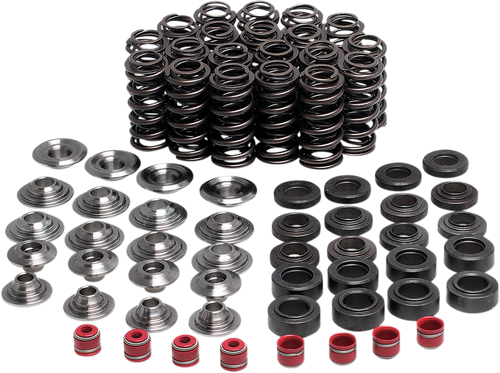 Valve Spring Kit