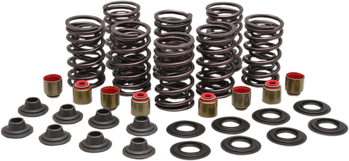 Valve Spring Kit