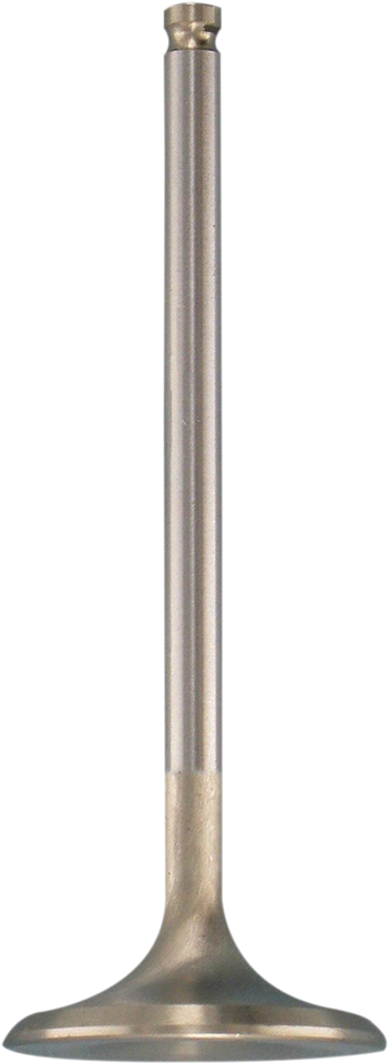 Intake Valve