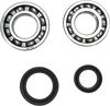Crank Bearing and Seal Kit - Suzuki