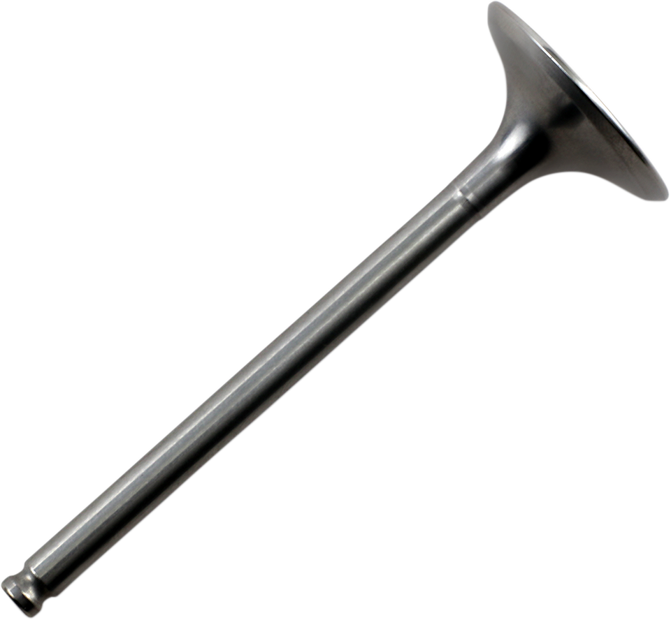 Exhaust Valve - Yamaha