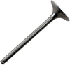 Exhaust Valve - Yamaha