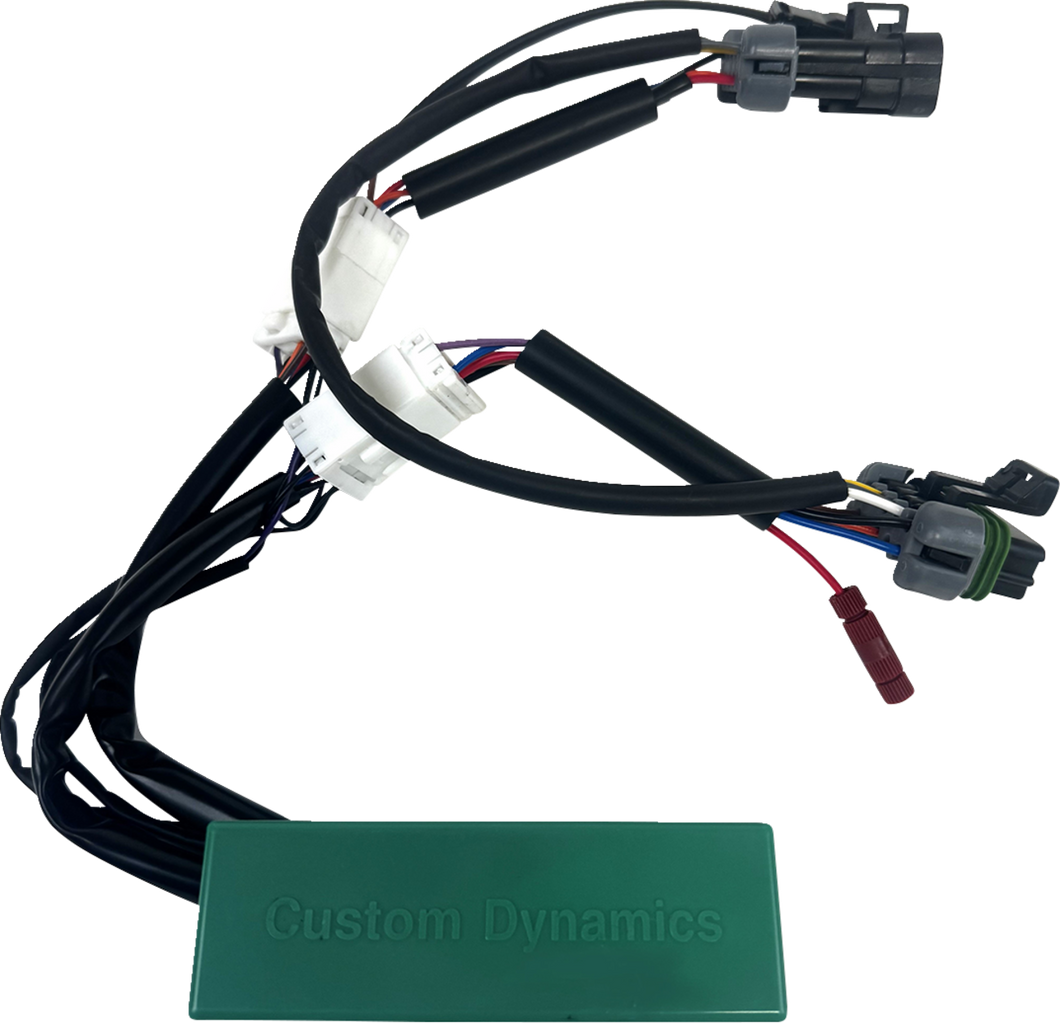 Module - Run/Turn/Brake - RZR Pro