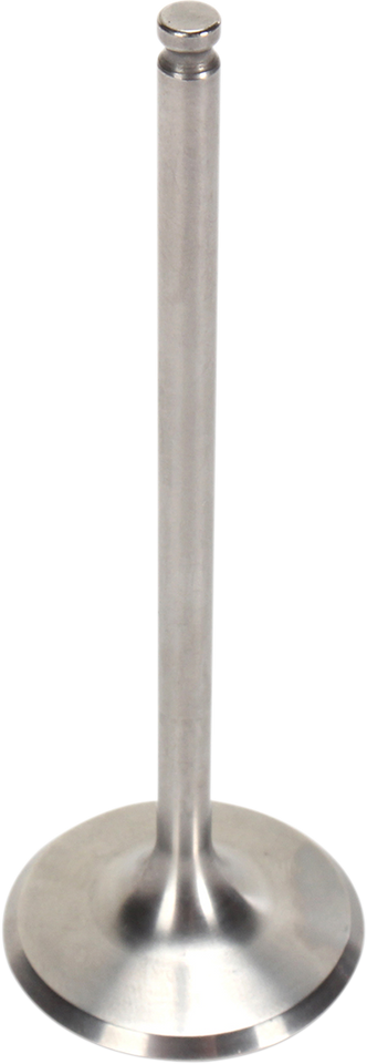 Intake Valve - Titanium - KTM - Lutzka's Garage