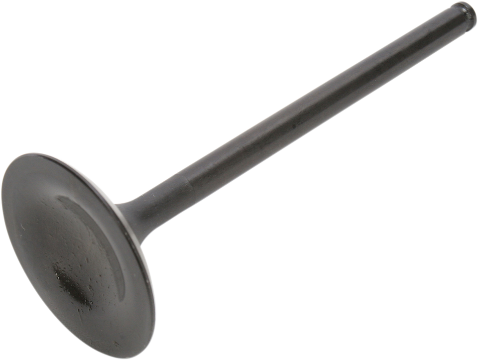 Intake Valve