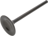 Intake Valve