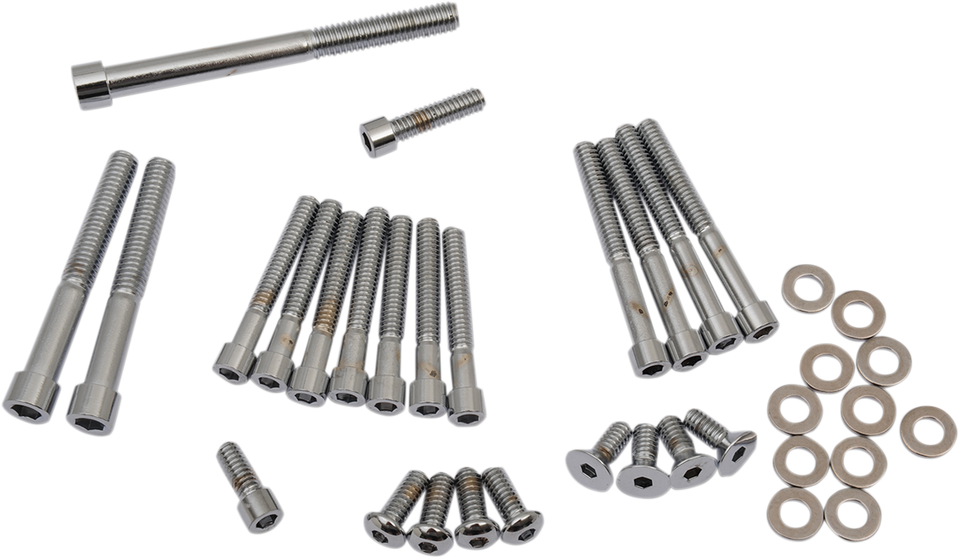 Bolt Set - Side Cover - Polished - XL - Lutzka's Garage