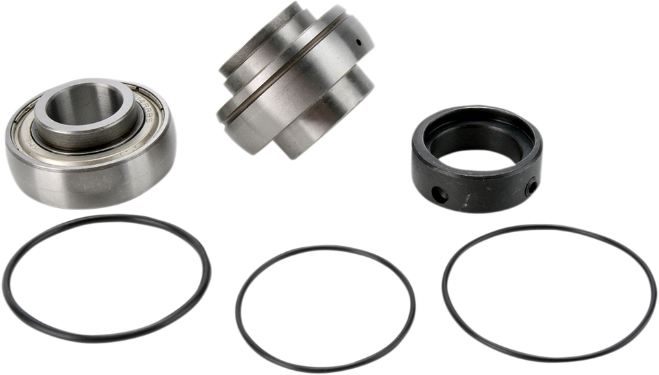 Chain Case Bearing and Seal Kit