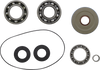 Differential Bearing Kit - Can-Am - Rear