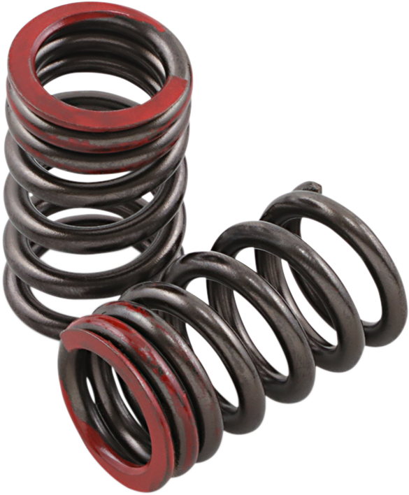 Valve Springs - Exhaust - Honda