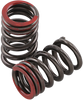 Valve Springs - Exhaust - Honda