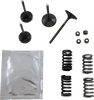 Valve Kit