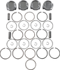 Piston Kit