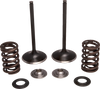 Valve Kit - Intake