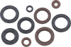 Oil Seal Set - Can-Am