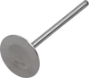 Intake Valve