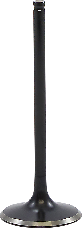 Valve - Intake - Black Diamond™