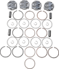Piston Kit