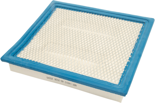 Replacement Air Filter - Polaris