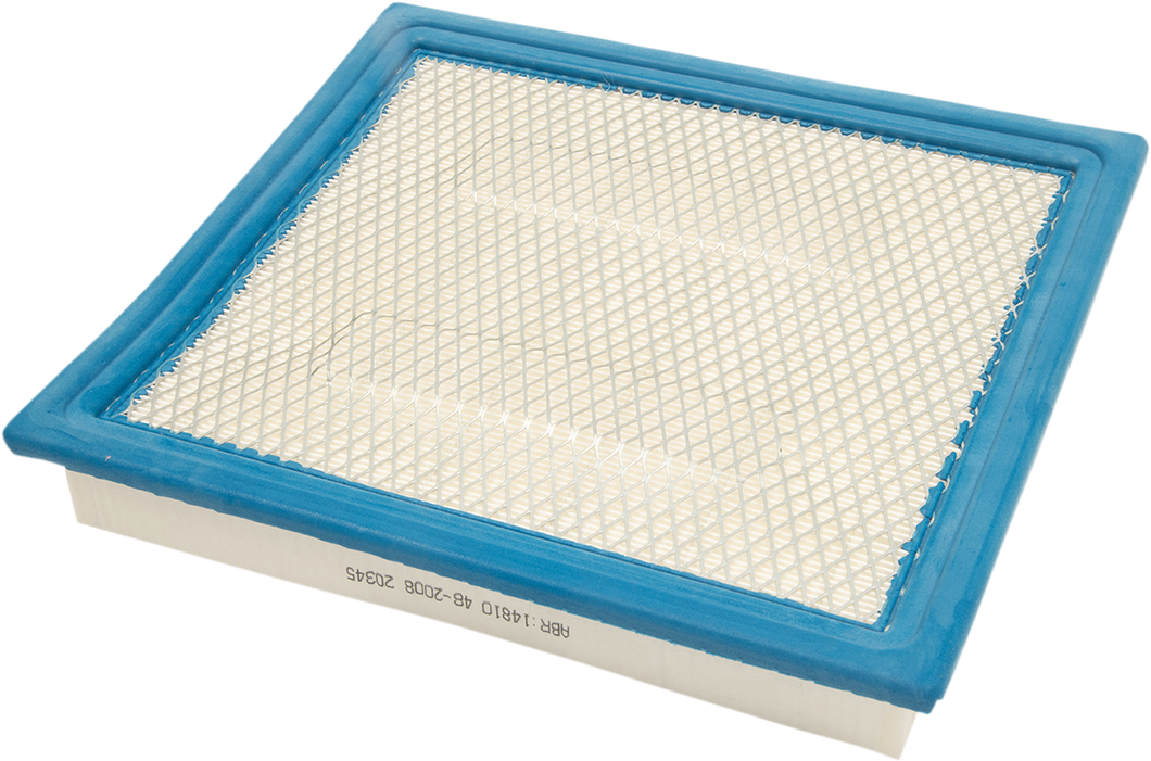Replacement Air Filter - Polaris