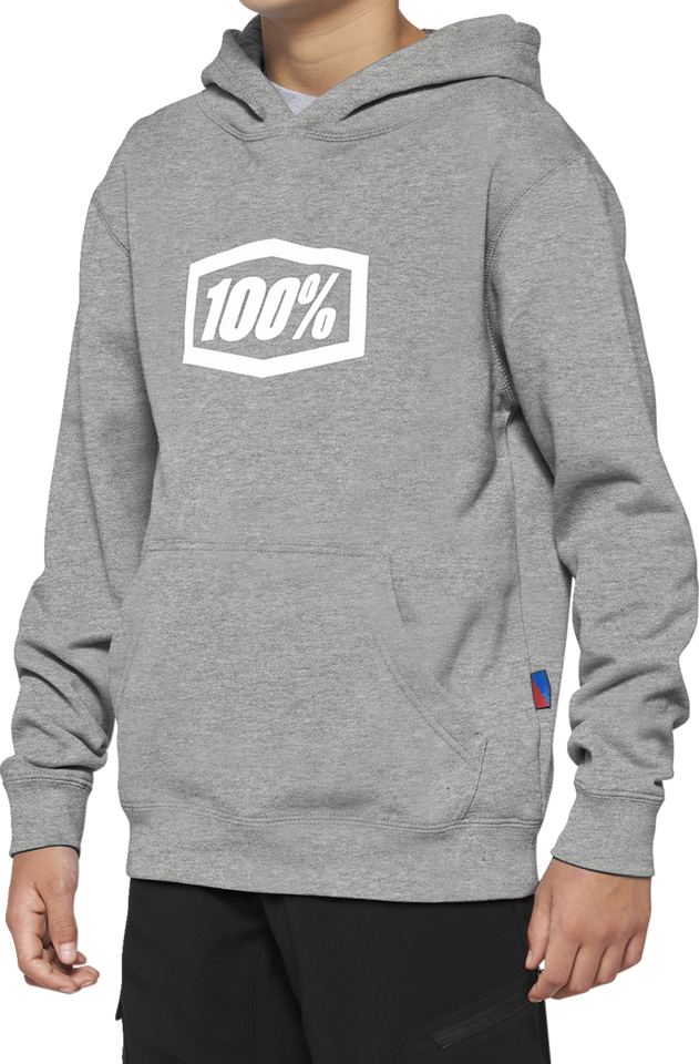 Youth Icon Hoodie - Gray - Small - Lutzka's Garage