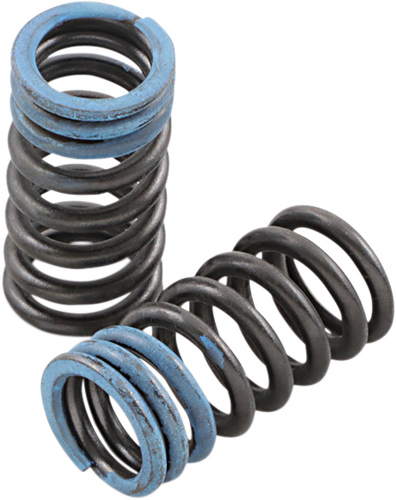 Valve Springs - Intake - Honda