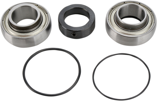Chain Case Bearing and Seal Kit