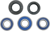 Wheel Bearing Kit - Rear