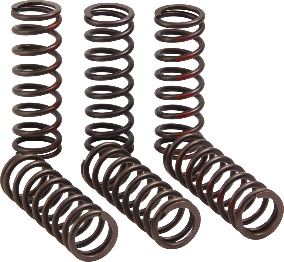Clutch Springs - CRF 450R