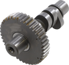 Camshaft - B2 Grind