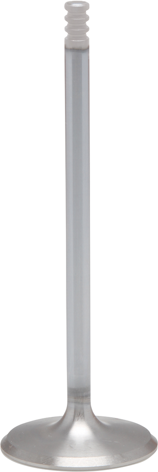 Exhaust Valve - Standard - M8