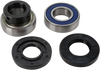 Chain Case Bearing and Seal Kit