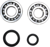Crank Bearing and Seal Kit - Suzuki