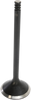 Exhaust Valve - 883/1200 XL