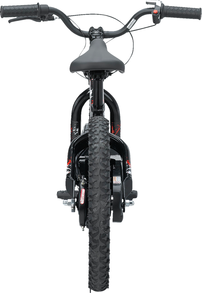 RS-16 E-Bike - Agroid - Balance