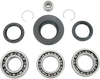 Differential Bearing/Seal Kit - Honda - Rear