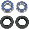 Wheel Bearing Kit - Rear
