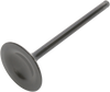 Intake Valve