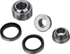 Shock Bearing Kit - Lower