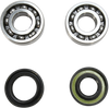 Crank Bearing and Seal Kit - Yamaha