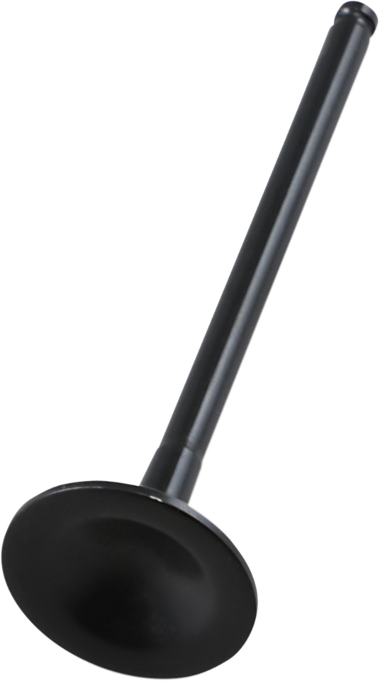 Exhaust Valve