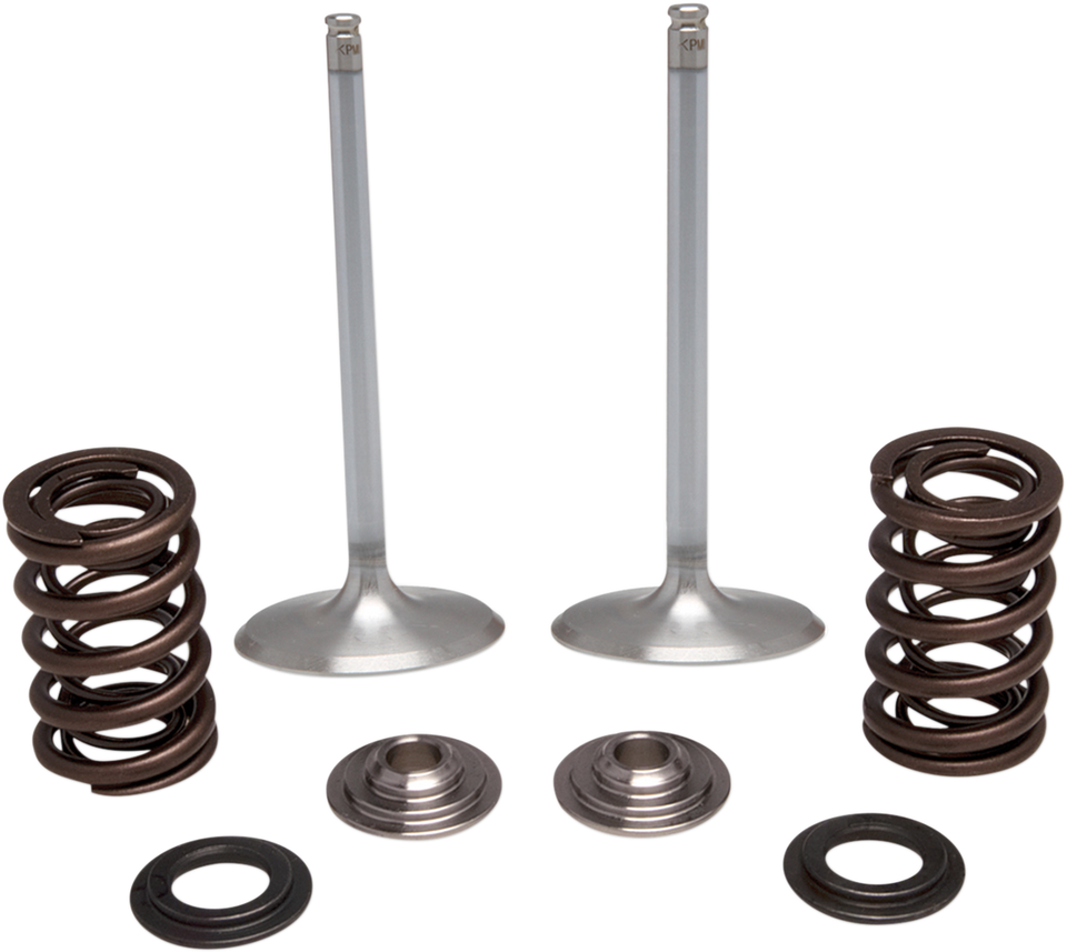 Intake Valve Kit