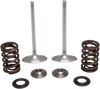 Intake Valve Kit