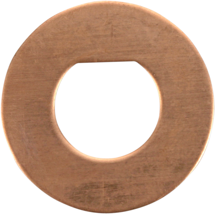 Friction Washers - 10 Pack