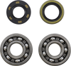 Main Bearing Kit