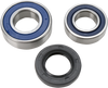 Chain Case Bearing and Seal Kit